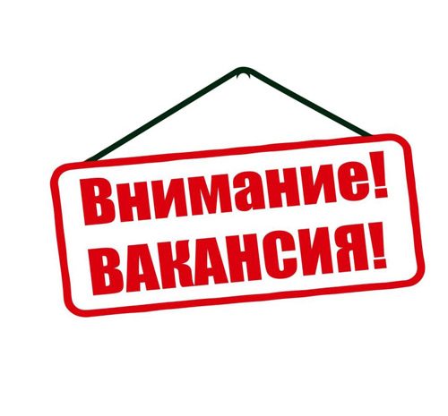 Учитель информатики