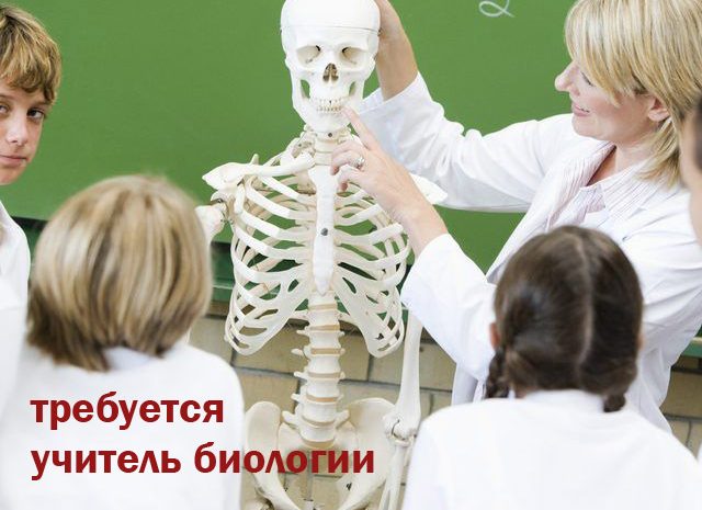 Учитель биологии